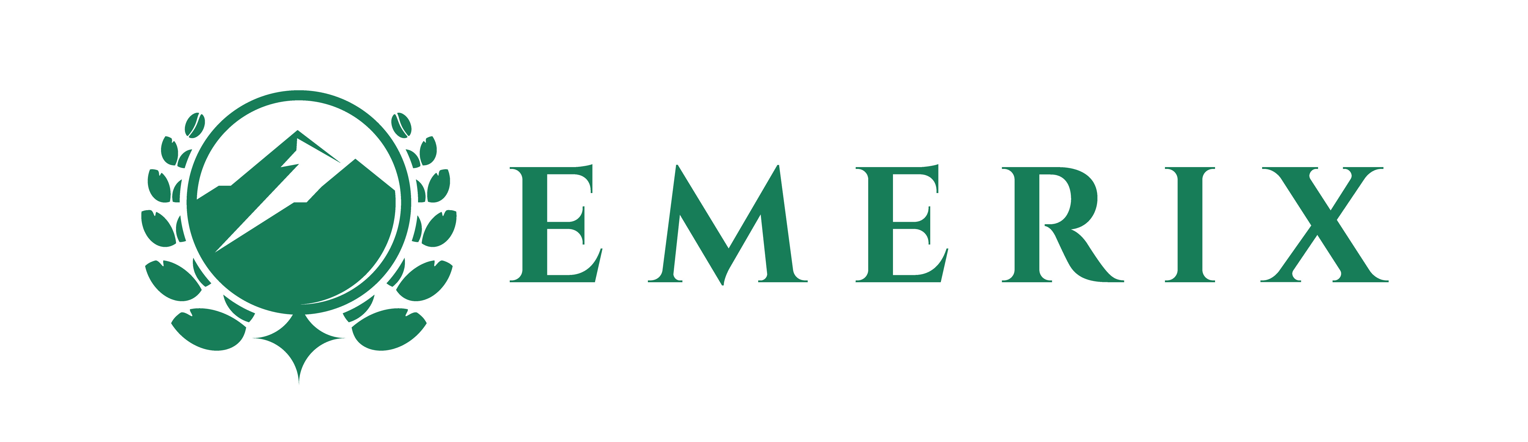 Emerix Global Tech